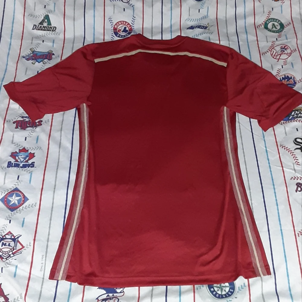 2010 Fifa World Champions Spain National Football Soccer Vintage Jersey Spanish